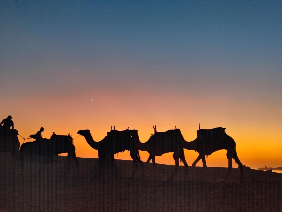 Riad Bini-Ddik เอสเซาอิรา ภายนอก รูปภาพ